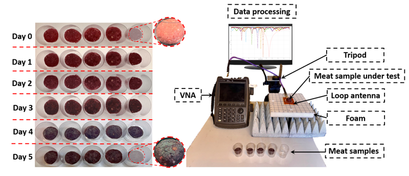 Real-time monitoring of meat quality